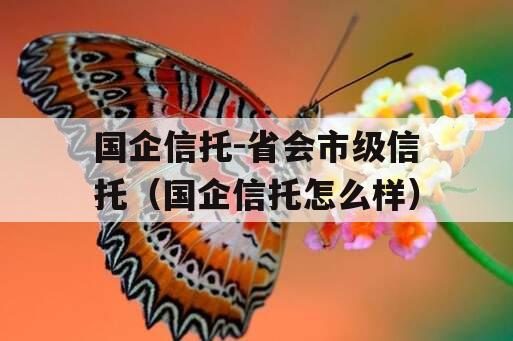 国企信托-省会市级信托（国企信托怎么样）