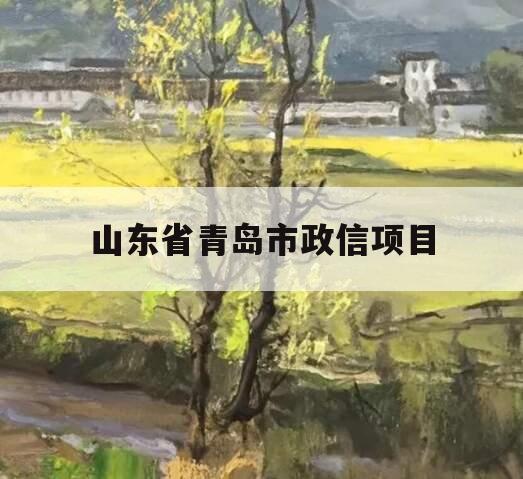 山东省青岛市政信项目