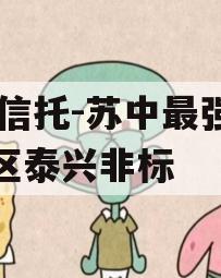 XX信托-苏中最强经济区泰兴非标