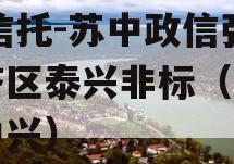 XX信托-苏中政信强经济区泰兴非标（泰州苏中兴）