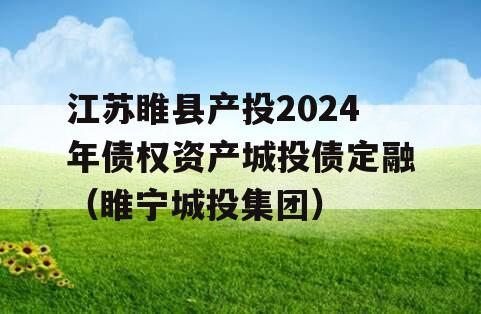 江苏睢县产投2024年债权资产城投债定融（睢宁城投集团）