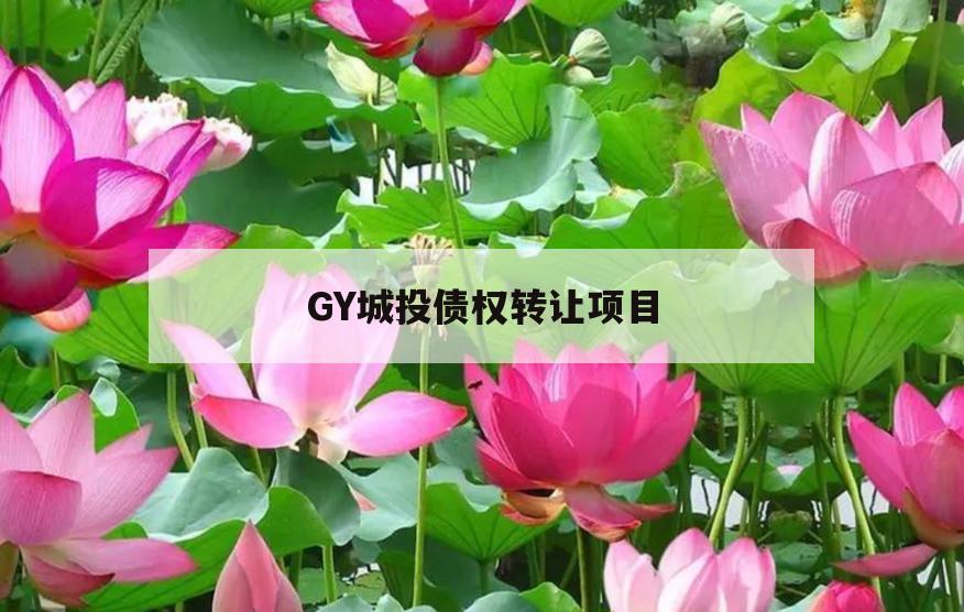GY城投债权转让项目