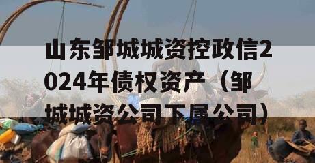 山东邹城城资控政信2024年债权资产（邹城城资公司下属公司）