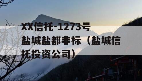 XX信托-1273号盐城盐都非标（盐城信托投资公司）