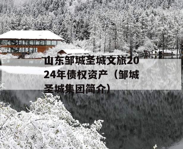 山东邹城圣城文旅2024年债权资产（邹城圣城集团简介）