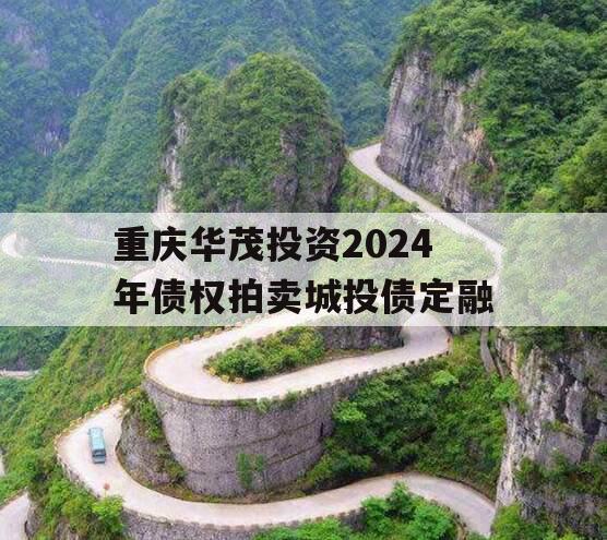 重庆华茂投资2024年债权拍卖城投债定融
