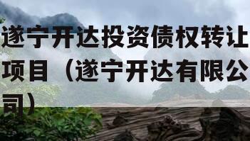 遂宁开达投资债权转让项目（遂宁开达有限公司）