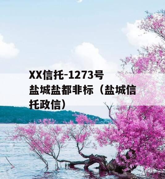 XX信托-1273号盐城盐都非标（盐城信托政信）