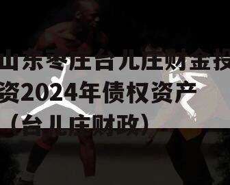 山东枣庄台儿庄财金投资2024年债权资产（台儿庄财政）