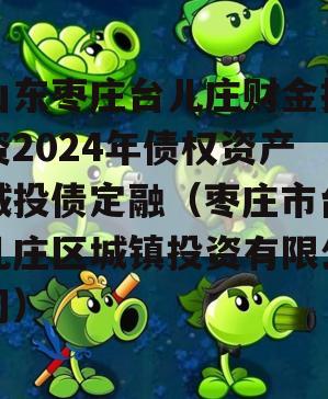 山东枣庄台儿庄财金投资2024年债权资产城投债定融（枣庄市台儿庄区城镇投资有限公司）