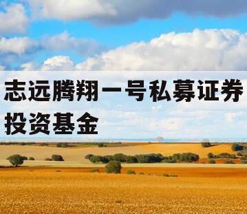 志远腾翔一号私募证券投资基金