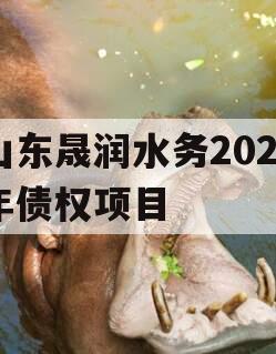 山东晟润水务2023年债权项目