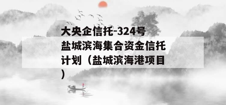 大央企信托-324号盐城滨海集合资金信托计划（盐城滨海港项目）