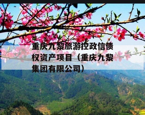 重庆九黎旅游控政信债权资产项目（重庆九黎集团有限公司）