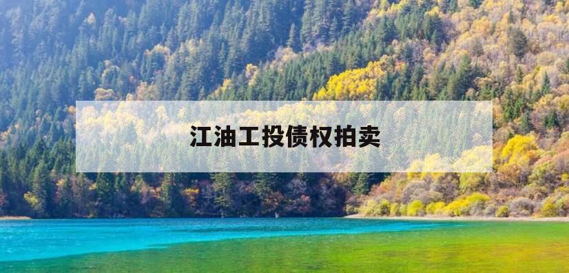 江油工投债权拍卖