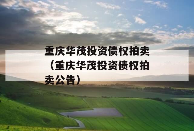 重庆华茂投资债权拍卖（重庆华茂投资债权拍卖公告）