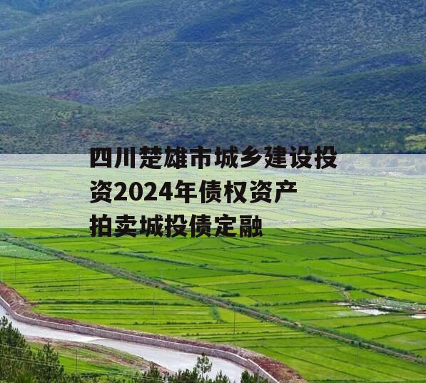 四川楚雄市城乡建设投资2024年债权资产拍卖城投债定融