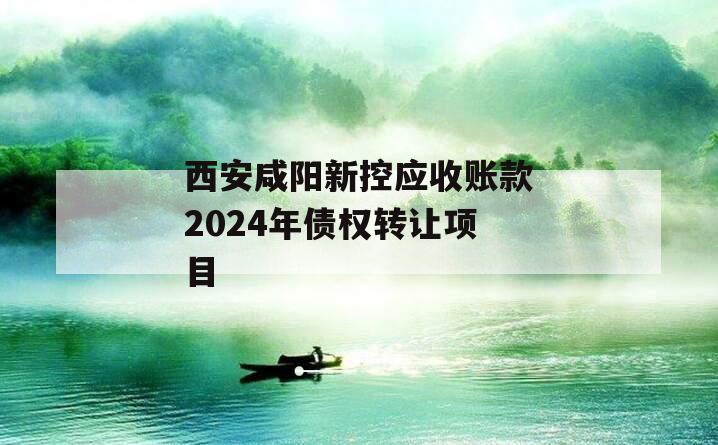 西安咸阳新控应收账款2024年债权转让项目