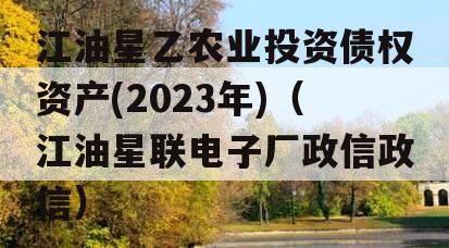 江油星乙农业投资债权资产(2023年)（江油星联电子厂政信政信）