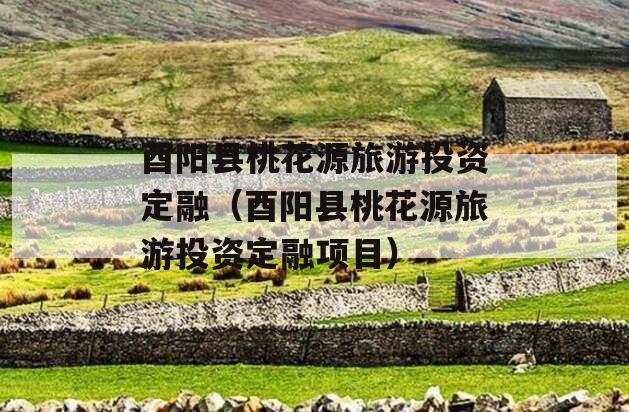 酉阳县桃花源旅游投资定融（酉阳县桃花源旅游投资定融项目）