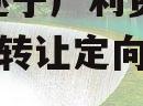 2024遂宁广利资产收益权转让定向融资计划