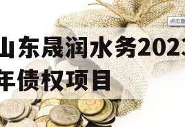 山东晟润水务2023年债权项目