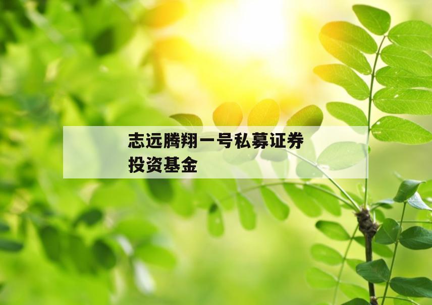 志远腾翔一号私募证券投资基金