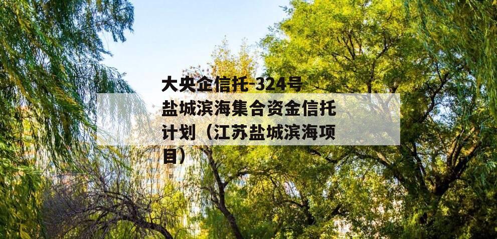 大央企信托-324号盐城滨海集合资金信托计划（江苏盐城滨海项目）