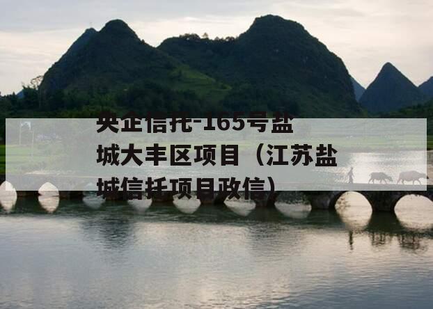 央企信托-165号盐城大丰区项目（江苏盐城信托项目政信）