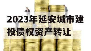 2023年延安城市建投债权资产转让