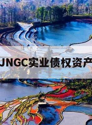 JNGC实业债权资产