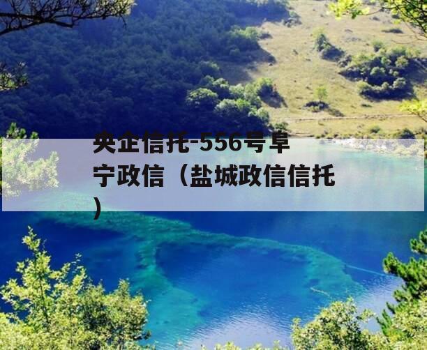 央企信托-556号阜宁政信（盐城政信信托）