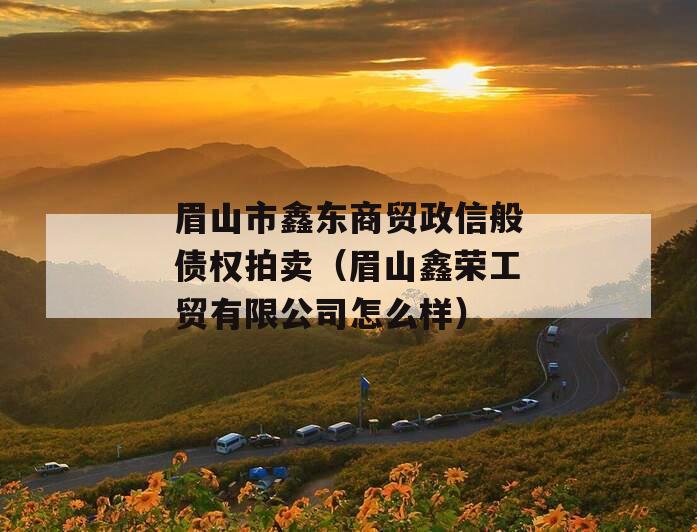 眉山市鑫东商贸政信般债权拍卖（眉山鑫荣工贸有限公司怎么样）
