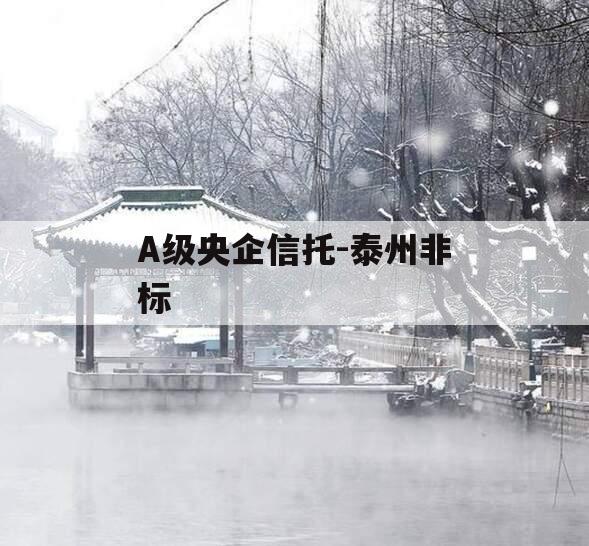 A级央企信托-泰州非标