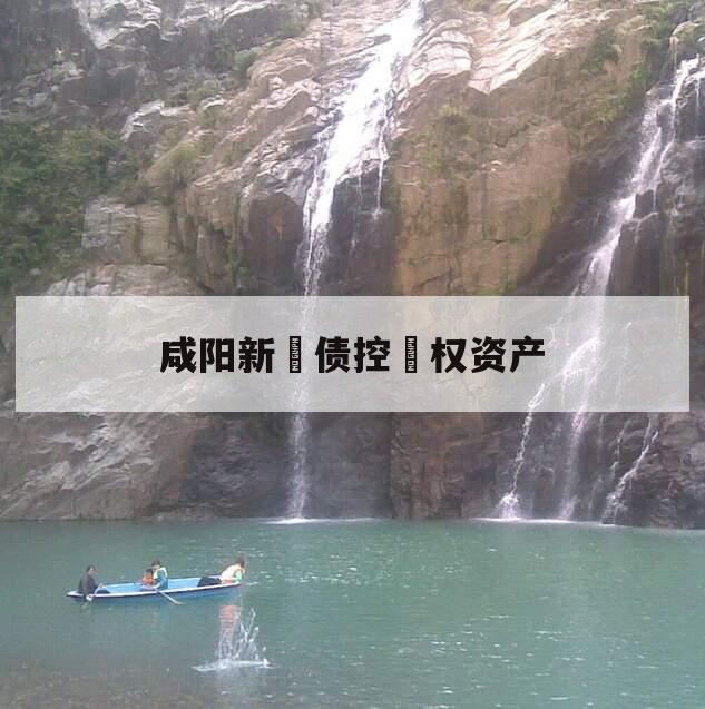 咸阳新‮债控‬权资产