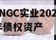 JNGC实业2024年债权资产