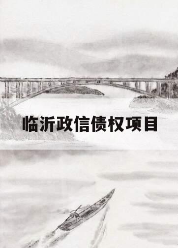 临沂政信债权项目