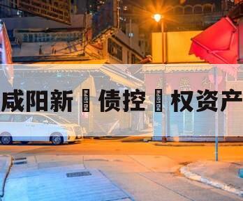 咸阳新‮债控‬权资产