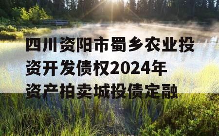 四川资阳市蜀乡农业投资开发债权2024年资产拍卖城投债定融