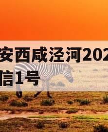 西安西咸泾河202年政信1号