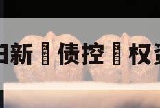 咸阳新‮债控‬权资产