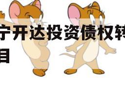 遂宁开达投资债权转让项目