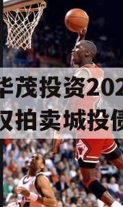 重庆华茂投资2024年债权拍卖城投债定融