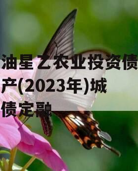 江油星乙农业投资债权资产(2023年)城投债定融