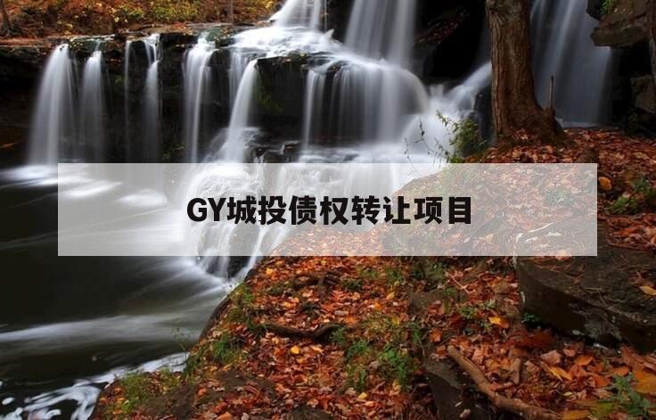 GY城投债权转让项目