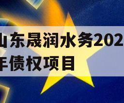 山东晟润水务2023年债权项目