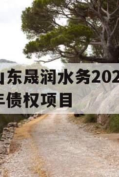 山东晟润水务2023年债权项目