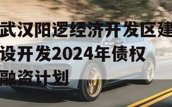 武汉阳逻经济开发区建设开发2024年债权融资计划