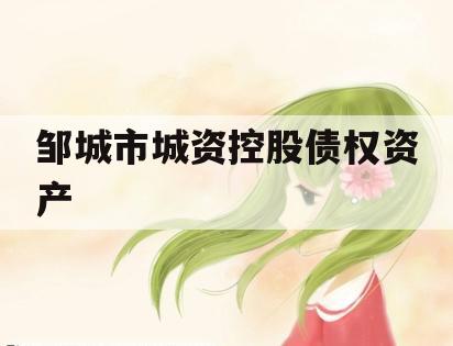 邹城市城资控股债权资产