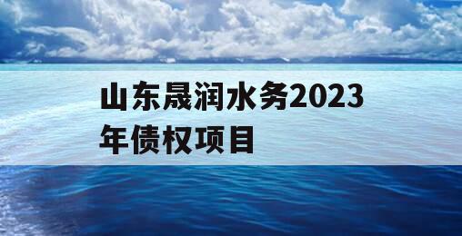 山东晟润水务2023年债权项目